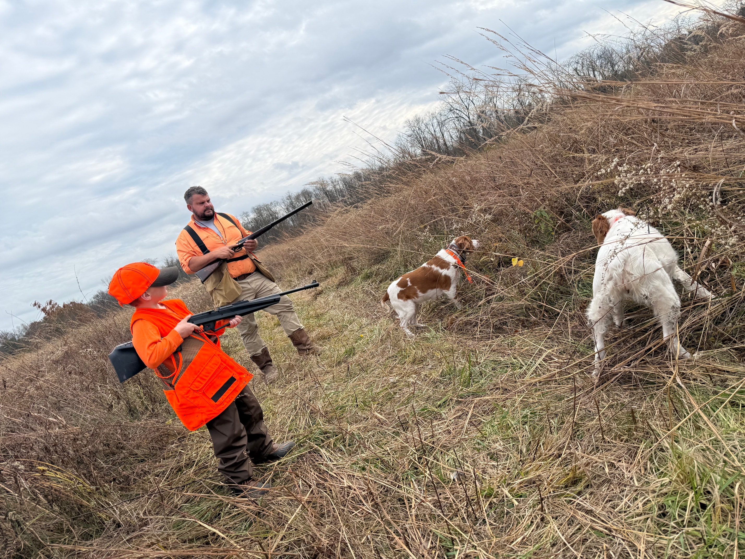 Peterson Collective — field photo
